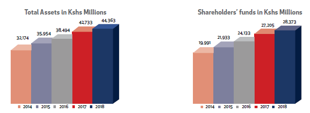 Total Asset and Shareholders Fund